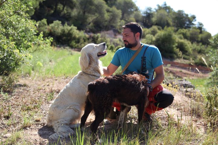 De la tierra al plato