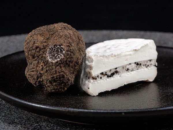 trufas frescas negras producto gourmet