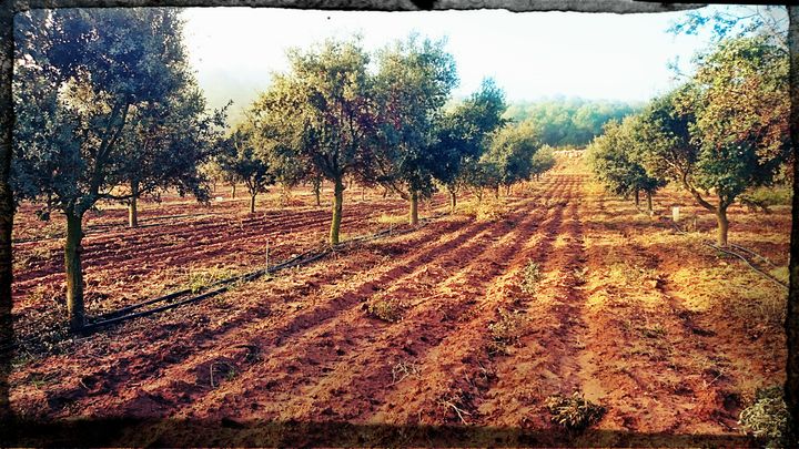 Un referent del sector